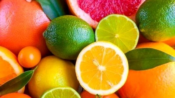 پژوهشکده مرکبات و میوه‌های گرمسیری گنجینه ملی است/ کاهش ۱۰ درصدی ضایعات باغی
