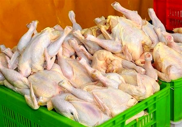 ۱۱۰ هزار تن گوشت مرغ در کردستان تولید میشود