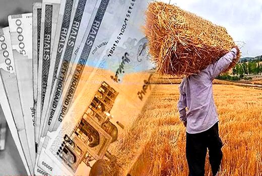 بدهی‌های تعاون روستایی به کشاورزان صفر شد/ مدیریت بازار شب عید بدون اتکا به بودجه دولت