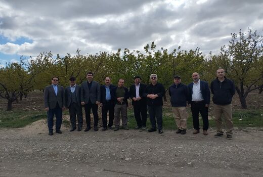 پژوهشگران باغبانی پای کار ارتقای خودکفایی کشور آمدند/«خط مقدم امنیت غذایی» در مشکین‌دشت