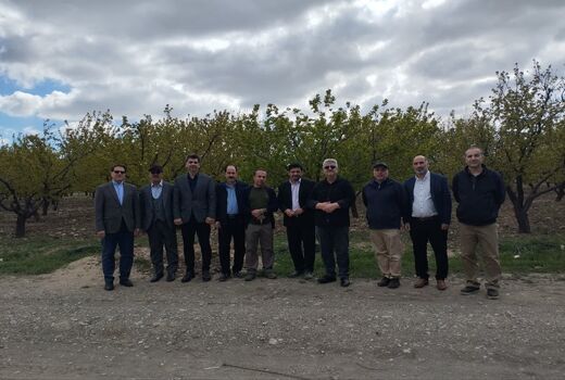 پژوهشگران باغبانی پای کار ارتقای خودکفایی کشور آمدند/«خط مقدم امنیت غذایی» در مشکین‌دشت