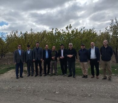 پژوهشگران باغبانی پای کار ارتقای خودکفایی کشور آمدند/«خط مقدم امنیت غذایی» در مشکین‌دشت