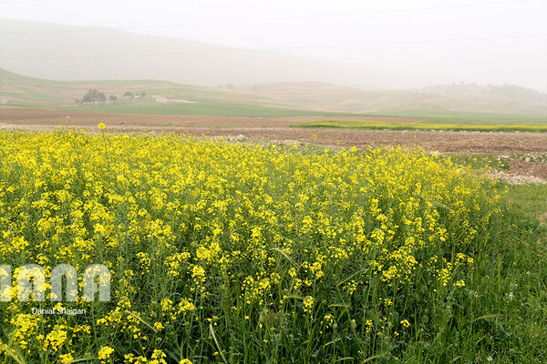 ضرورت مشارکت مردمی برای حفاظت از منابع طبیعی