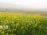 مقابله با خشکسالی با احیای مراتع