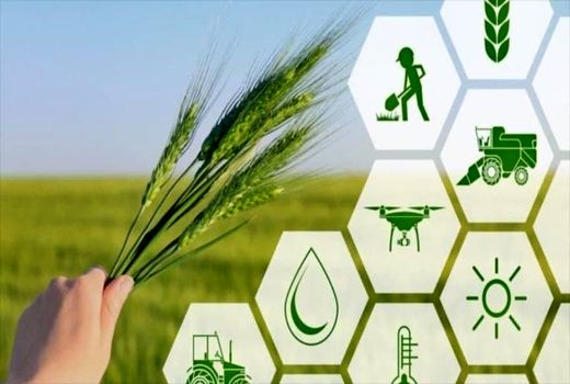 رتبه اول کشوری استان چهارمحال و بختیاری در تعداد طرح‌های پرداختی 