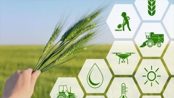 رتبه اول کشوری استان چهارمحال و بختیاری در تعداد طرح‌های پرداختی 
