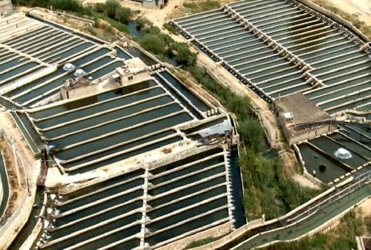 چشم امید صنعت آبزی پروری به حمایت دولت