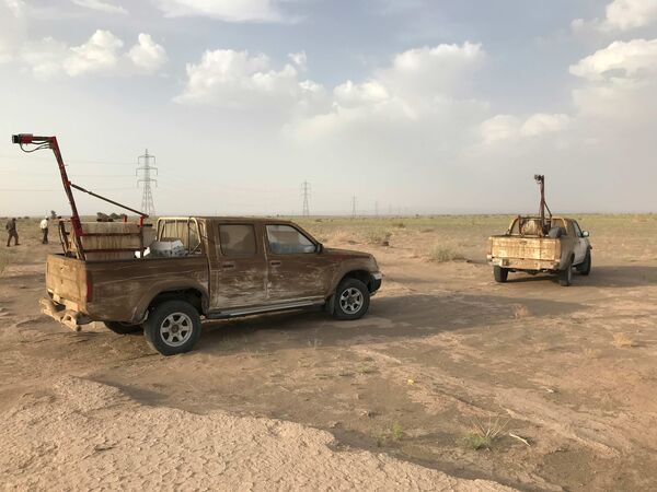 روزهای پایانی مبارزه با ملخ صحرایی در سیستان وبلوچستان
