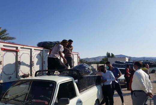 150 تن بادمجان از کشاورزان هرمزگانی خریداری شد