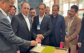  تأکید نوری بر توسعه کمیت و ارتقای عملکرد زنجیره‌های تولید تخم نوغان و بذور اصلاح شده برنج