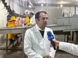 افزایش عملیات واکسیناسیون و کاهش محسوس کانون بیماری‌های دام در آذربایجان شرقی طی سال 1404