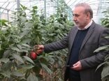بازدید از مجتمع گلخانه ای دیناروند