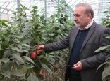 بازدید از مجتمع گلخانه ای دیناروند