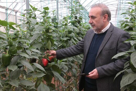 بازدید از مجتمع گلخانه ای دیناروند