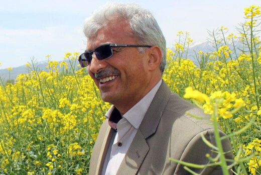افزایش ۳۵ درصدی قیمت خرید تضمینی کلزا نسبت به سال گذشته 