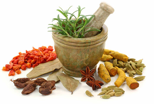 کشت گونه های دارویی در اراضی خرامه