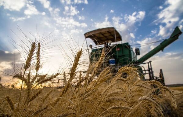 افزایش 72درصدی شاخص ضریب مکانیزاسیون