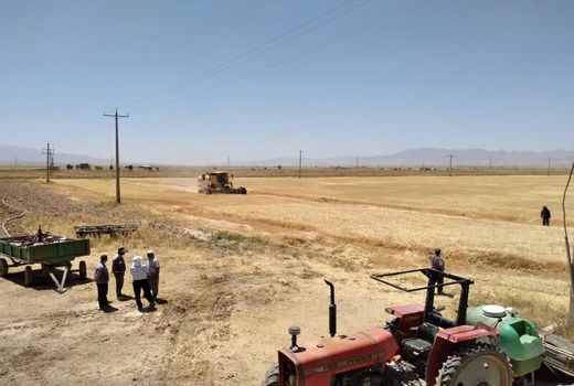 خرید توافقی محصول جو در کردستان