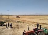 خرید توافقی محصول جو در کردستان