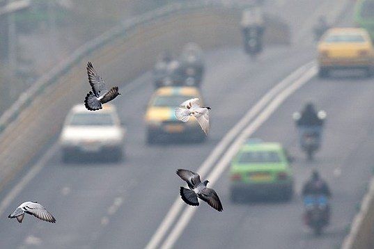 تاوان تغییر کاربری زمین را آسمان می‌دهد/ آلودگی از تهران خارج نمی‌شود/ انتشار ریزگردها در اثر تغییر کاربری اراضی کشاورزی جنوب شهر تهران