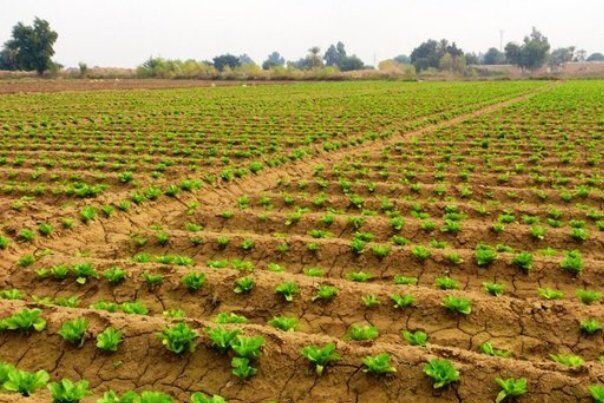 برگزاری دوره‌های آموزشی برای کارشناسان پهنه