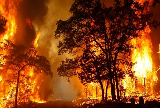 3 هکتار از مراتع روستای طزره دامغان در آتش سوخت