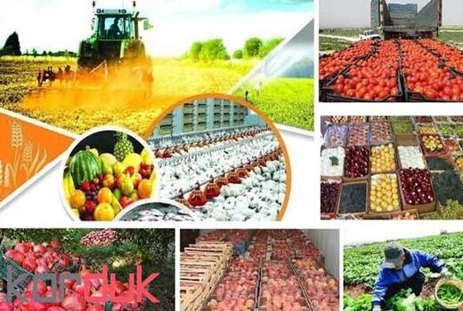 افزایش قیمت محصولات و خدمات کشاورزی در تابستان 1404