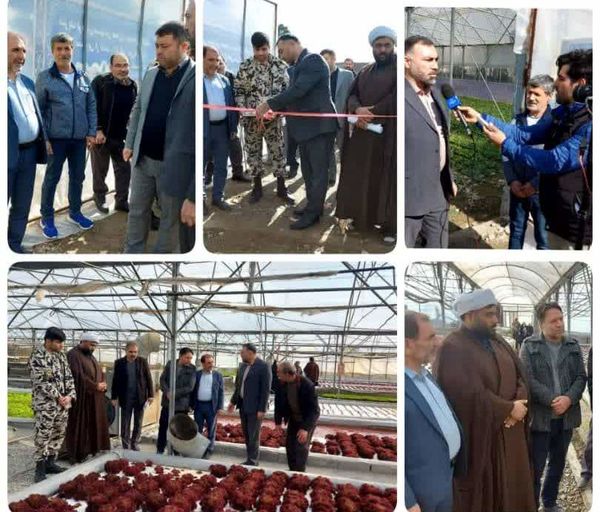 افتتاح گلخانه سبزی و صیفی در سرحدآباد شهرستان فردیس