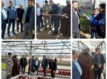 افتتاح گلخانه سبزی و صیفی در سرحدآباد شهرستان فردیس