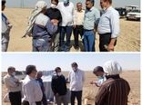 بازدید رییس سازمان جهاد کشاورزی استان تهران از روند کشت کلزا در شهرستان ری