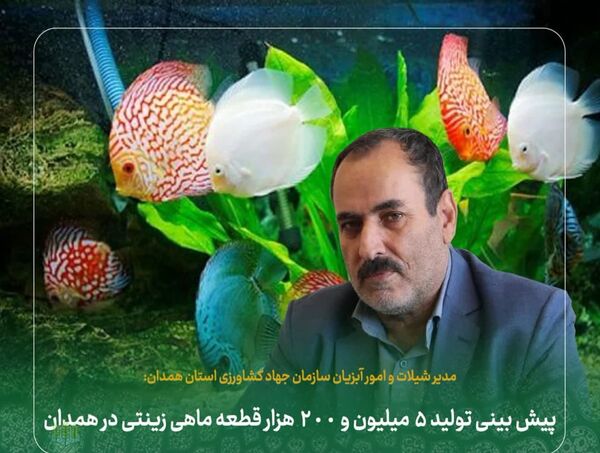 پیش‌بینی تولید پنج میلیون و ۲۰۰ هزار قطعه ماهی زینتی در همدان