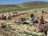 توسعه زیرساخت عمرانی عشایر نهاوند نیازمند ۱۱۰ میلیارد ریال اعتبار
