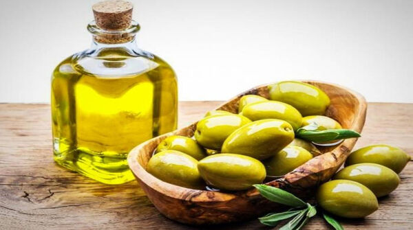 تولید 154 هزار تن زیتون در سال جاری