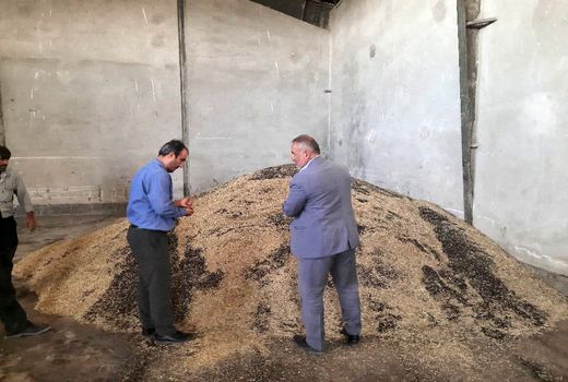 بازدید مدیر جهاد کشاورزی شهرستان تاکستان از مرکز خرید کلزا