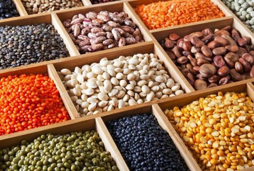 ثبات بازار حبوبات در گرو اصلاح سیاست‌های ارزی و تجاری