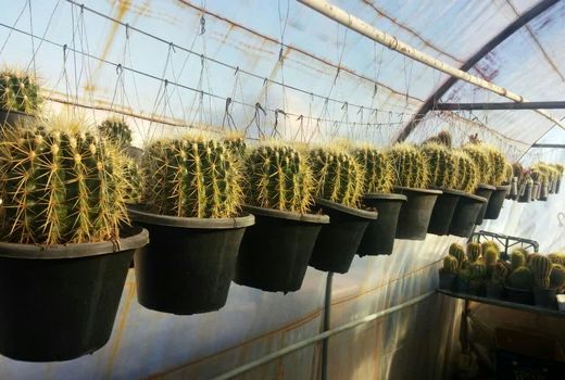 مشاغل خانگی بهترین فرصت برای ایجاد اشتغال و درآمدزایی