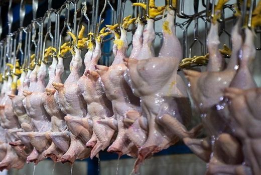 جریمه نقدی ۶ واحد متخلف در بازار مرغ شیراز 