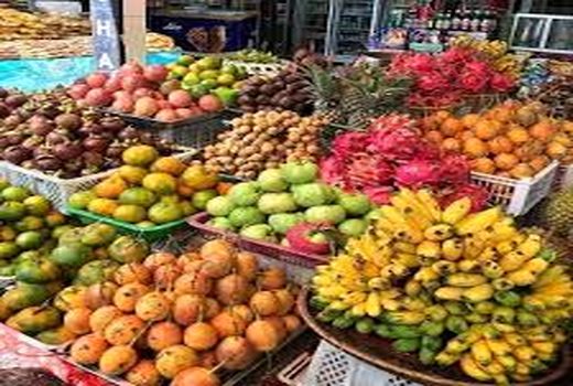 تولید 165 هزار تن میوه‌های گرمسیری در کشور
