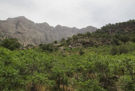 طرح پارسل بندی اراضی ملی چهار محال و بختیاری اجرا شد