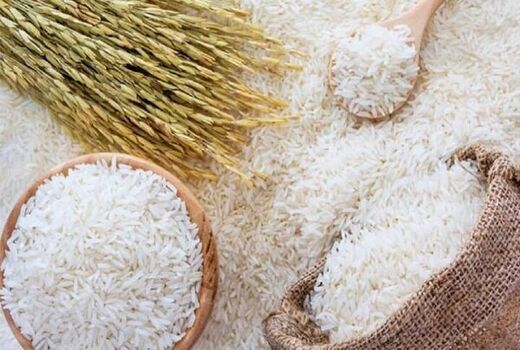 کاهش44 درصدی واردات برنج 