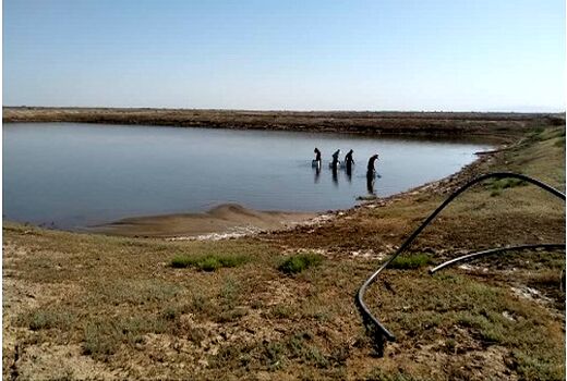 آغازبرداشت بیومس از دومین مزرعه بزرگ پرورش آرتمیا در مجتمع شیلاتی فسندوز میاندوآب