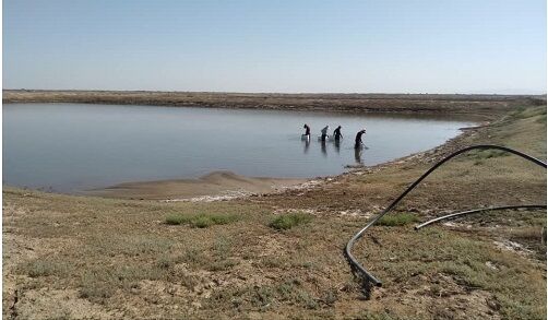 آغازبرداشت بیومس از دومین مزرعه بزرگ پرورش آرتمیا در مجتمع شیلاتی فسندوز میاندوآب