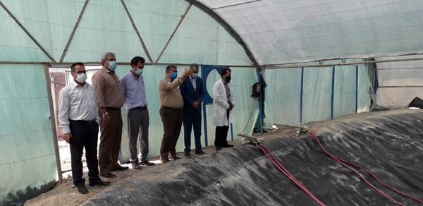 طرح نرسری (نوزادگاهی) راه نجات مجتمع پرورش میگو چوئبده آبادان