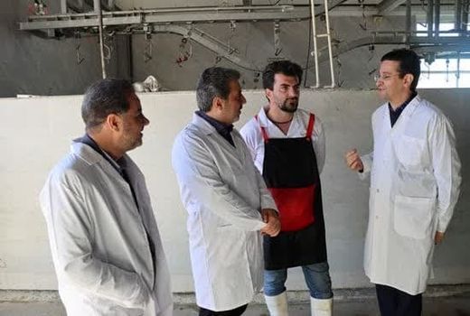 بازدید مدیر کل دامپزشکی و مدیرکل دیوان محاسبات استان آذربایجان شرقی از کشتارگاه صنعتی میانه
