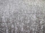 خسارت تگرگ به سردرختی باغات در اسفراین 