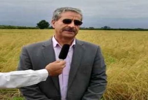 ۴.۳ میلیون بهره بردار کشاورزی در کشور فعالیت دارند