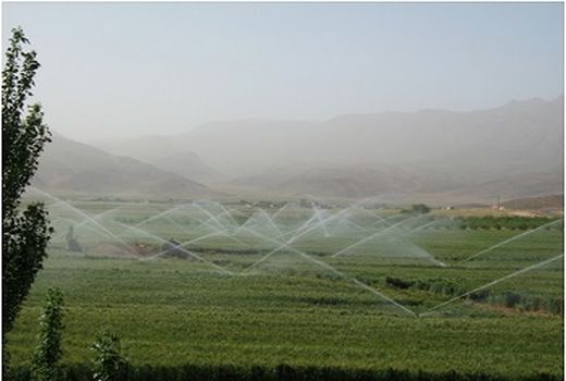 اقلید پیشتاز در اجرای سامانه های آبیاری 