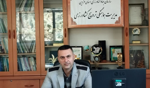 آغاز طرح شناسایی و تجلیل از نخبگان کشاورزی در استان قزوین