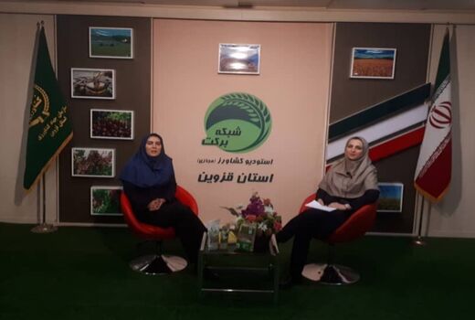 بررسی موضوع 