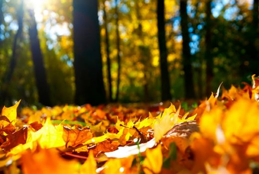 پاییز خنکی در راه نیست